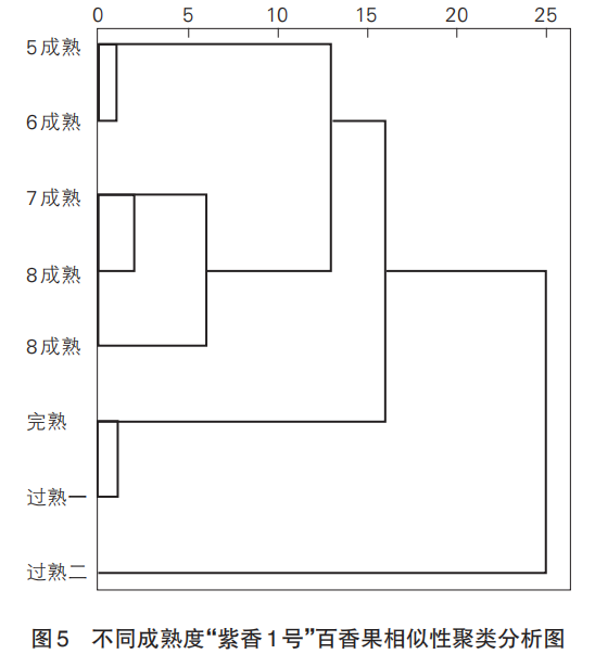 智能感官|基于電子舌和理化特征分析成熟度對百香果食用品質的影響7