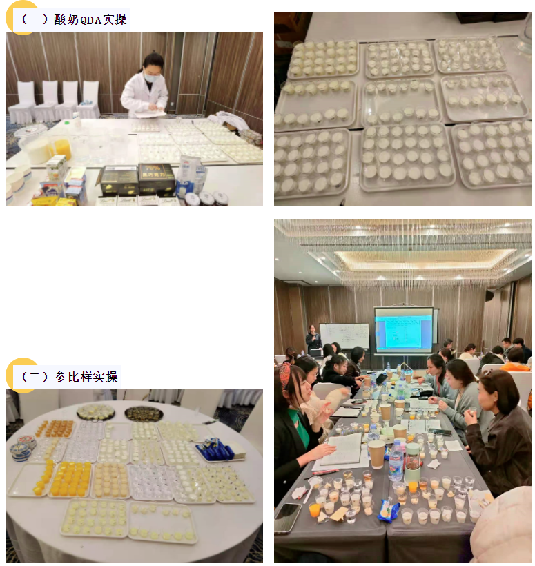 3月感官分析實(shí)操培訓(xùn)班 QDA CATA15